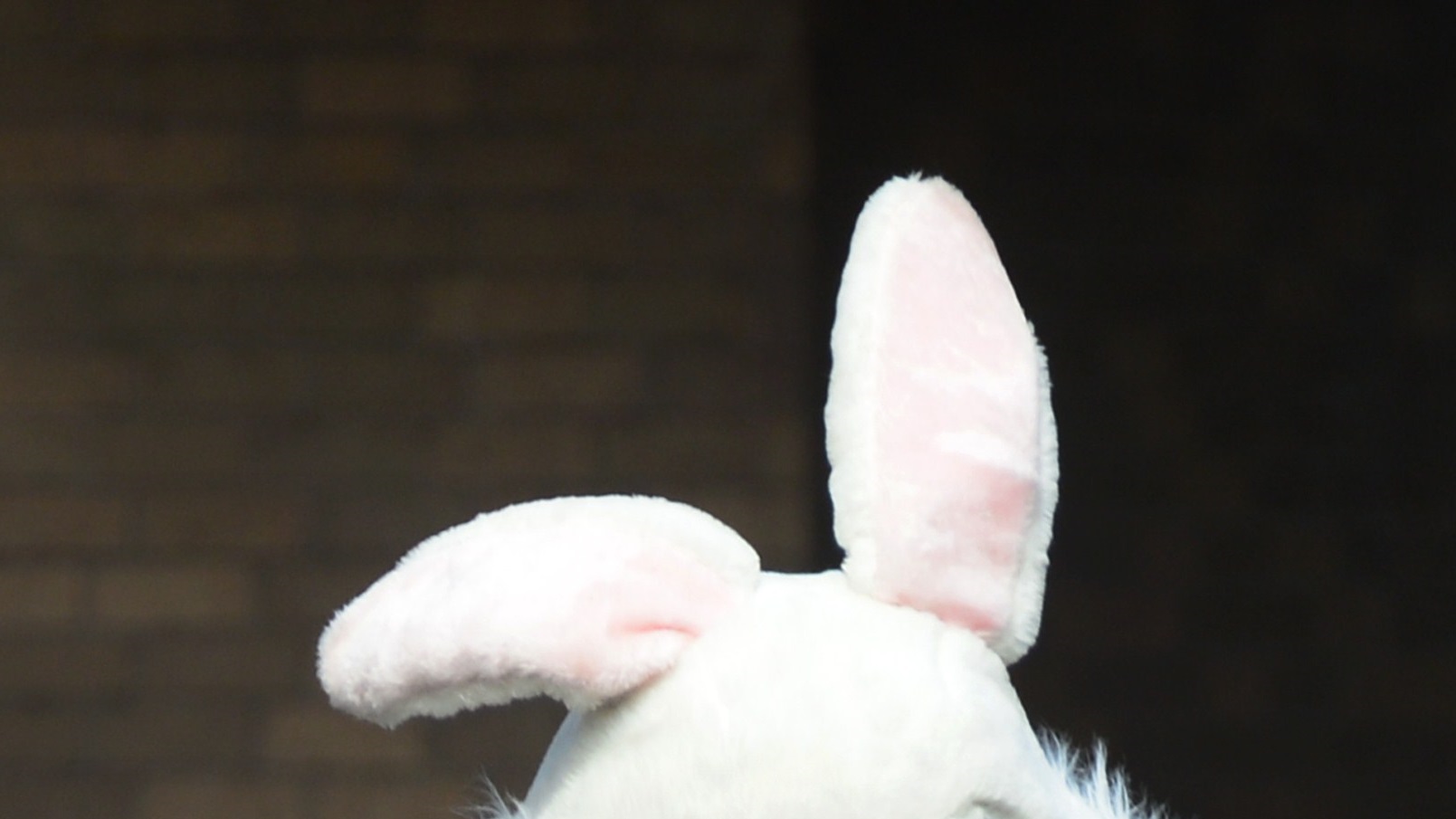 Sex Offender Hired To Be Easter Bunny At North Dakota Mall Is Arrested 5849
